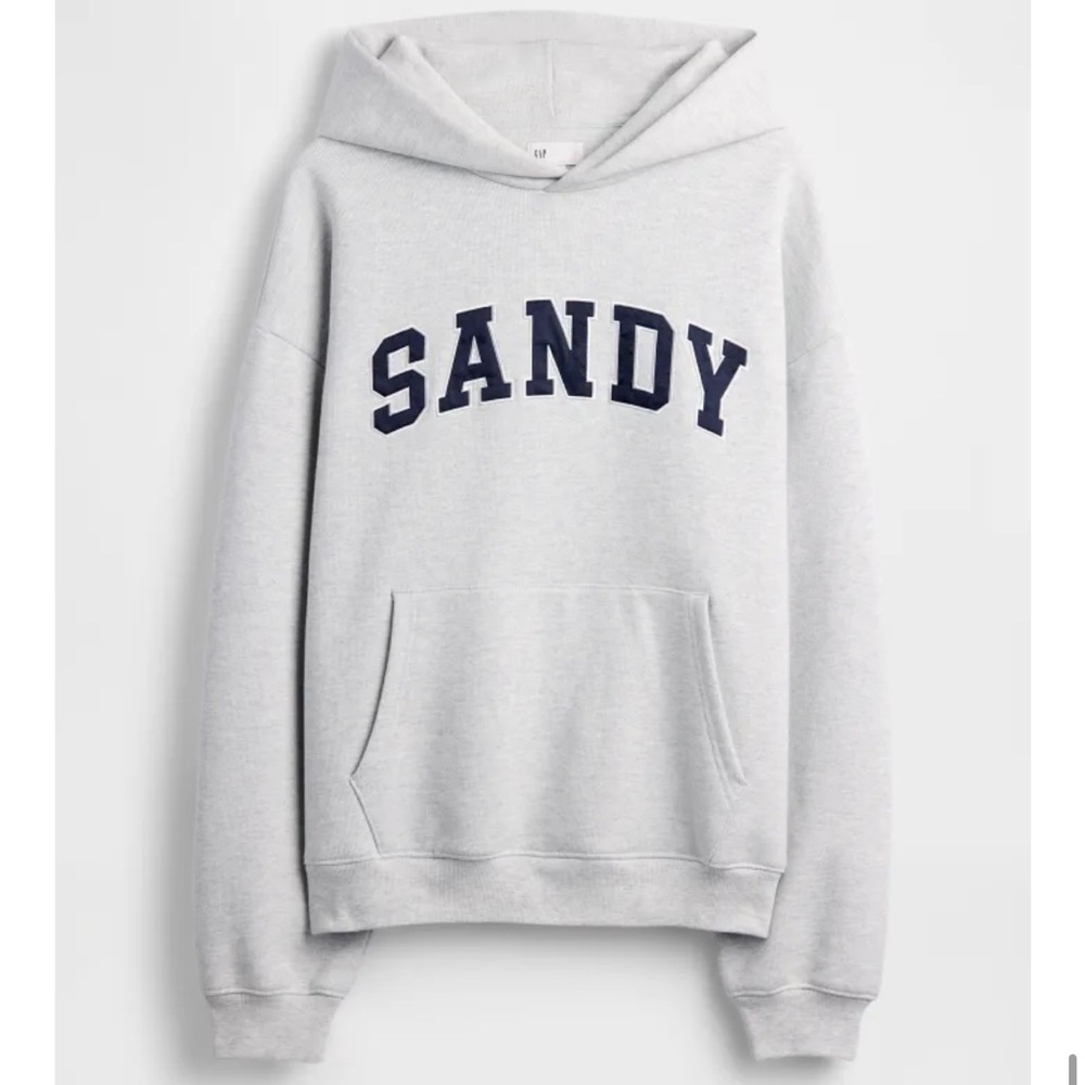 Gap Sandy Liang unisex extra heavyweight oversized hoodie in grey XXS NWT